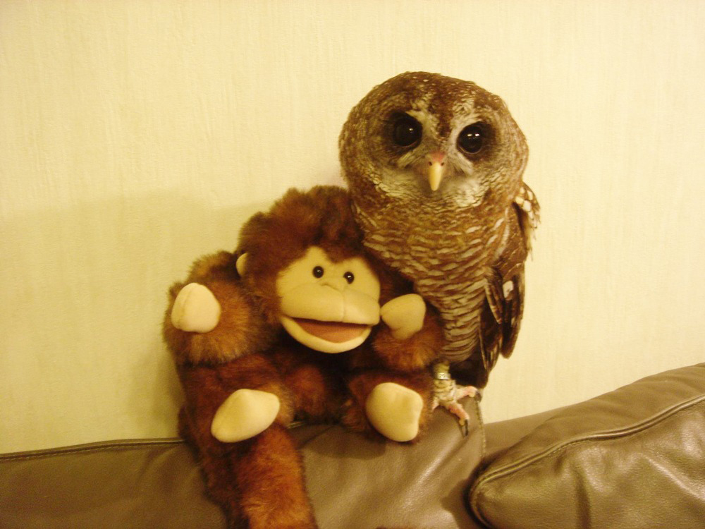 中山クリニック内観